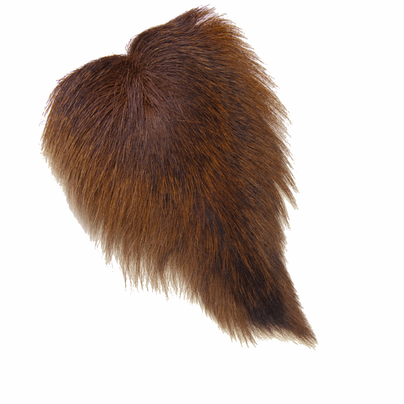 Northern Bucktail - Full