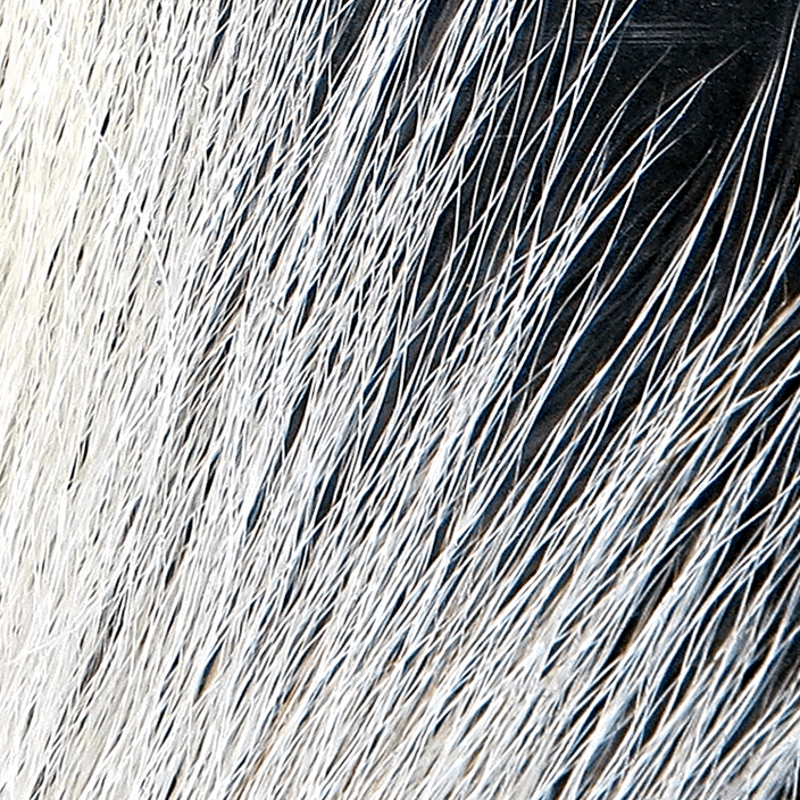 Northern Bucktail - Full