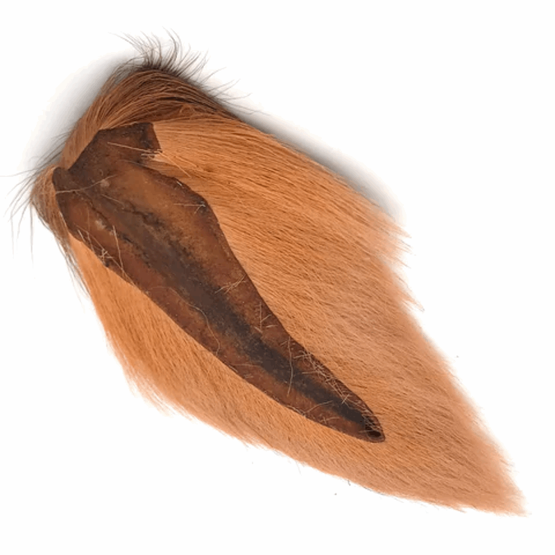 Northern Bucktail - Full