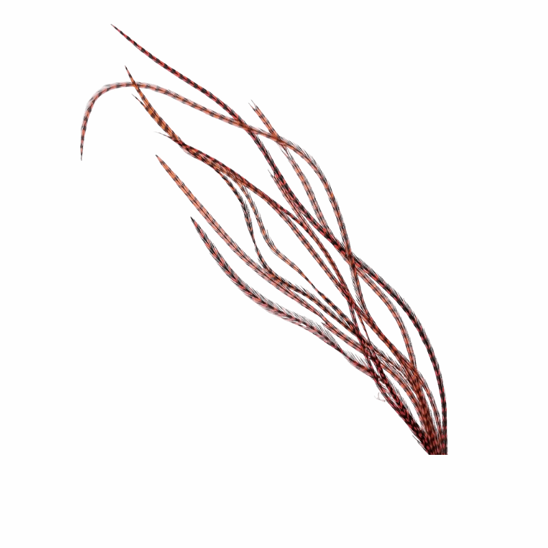 Metz #2 Saddle Hackle Pack