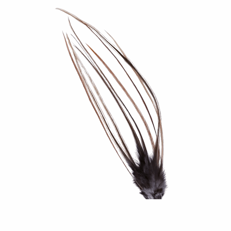 Metz #2 Saddle Hackle Pack