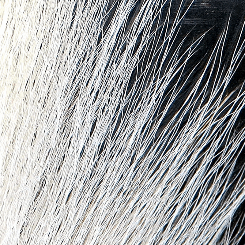 Northern Bucktail - Full