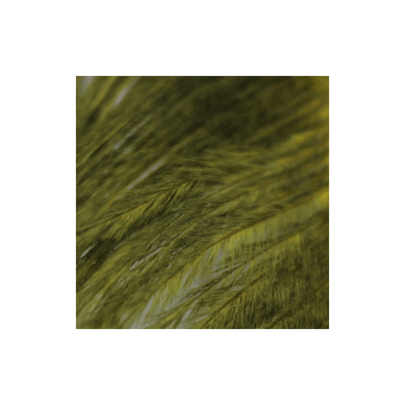 Ostrich Herl