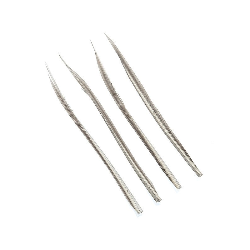 Turkey Biots