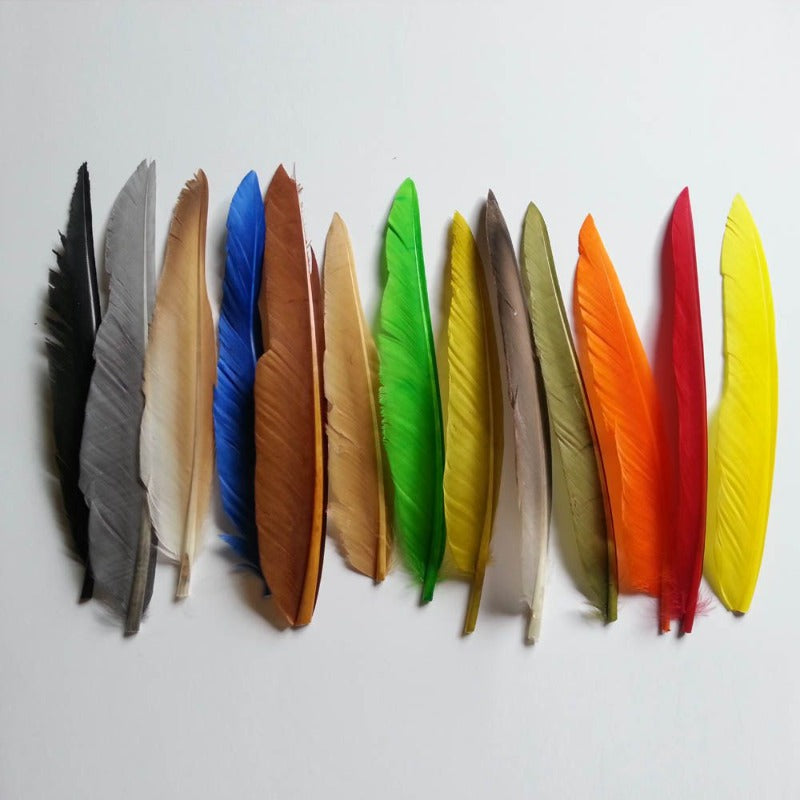 Duck Wing Quill Feathers