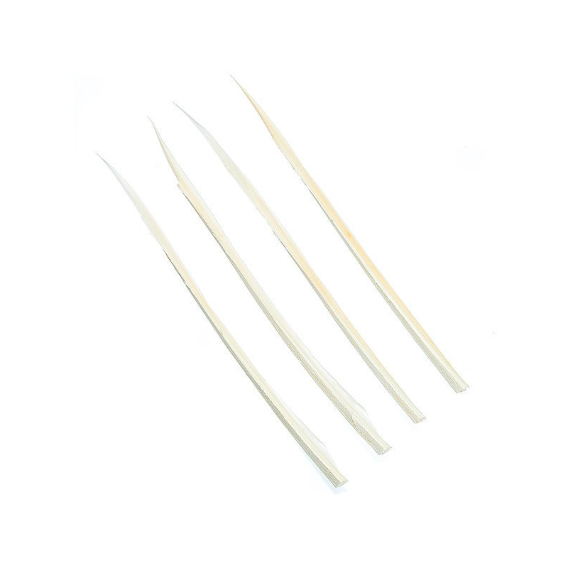 Turkey Biots