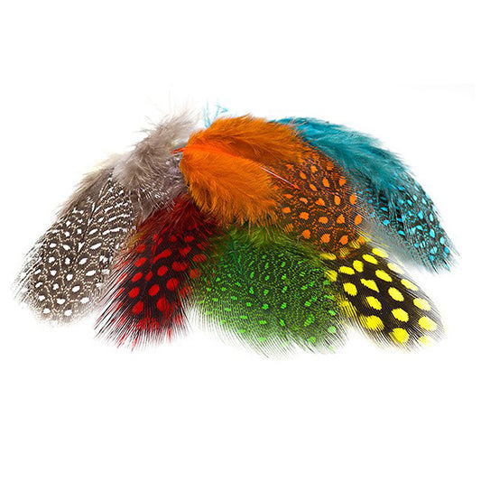 O-Fish-L Strung Guinea - Feathers - A Blaze In The Northern Fly