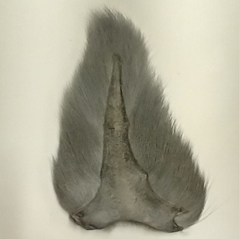 Northern Bucktail - Full