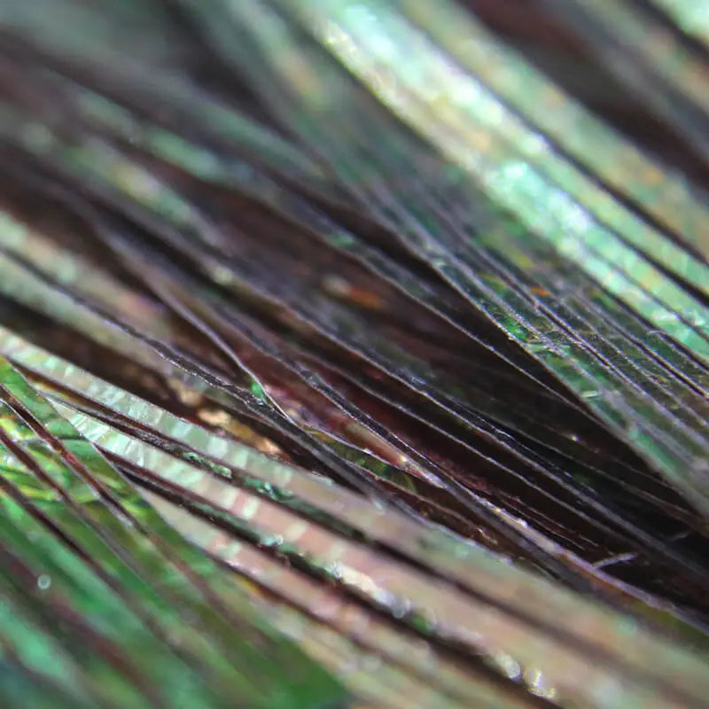 Perdigonmania Iridescent Perdigone Strips
