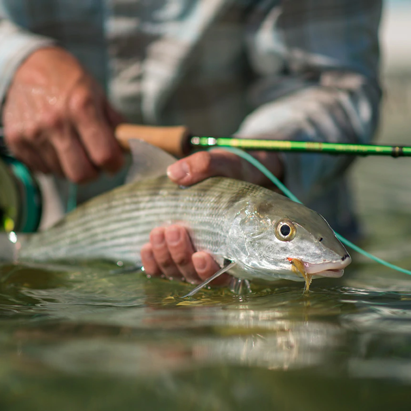 Redington Vice Fly Rod