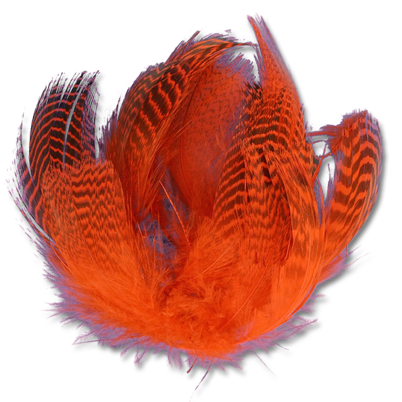 Teal Flank - Natural and Dyed