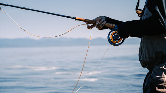 The Four Ws of Beach Fishing