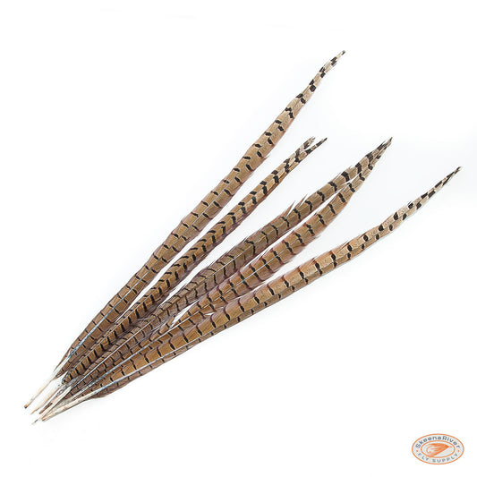 Ringneck Pheasant Tails - Natural and Dyed