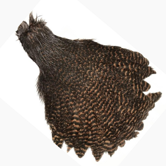 Grizzly Hen Neck