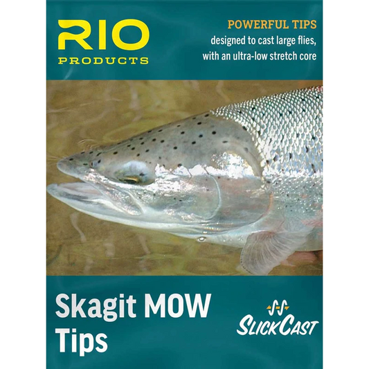 Rio Intouch Skagit MOW Tips